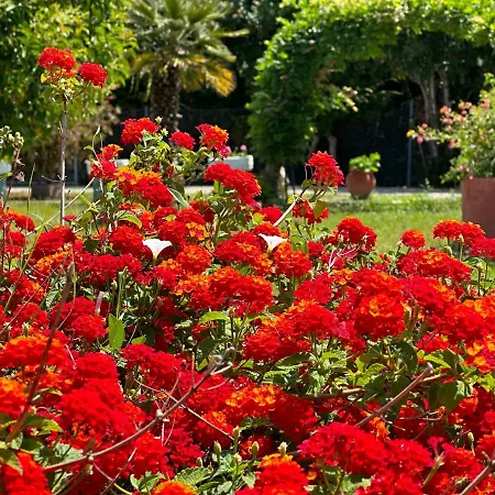Irene * Arillas (Corfu)